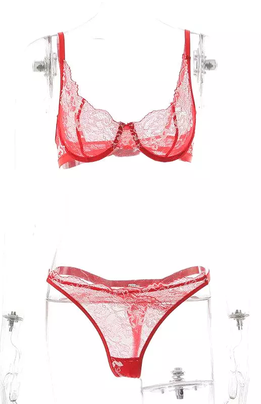 Embroidered Lace Women Lingerie Set