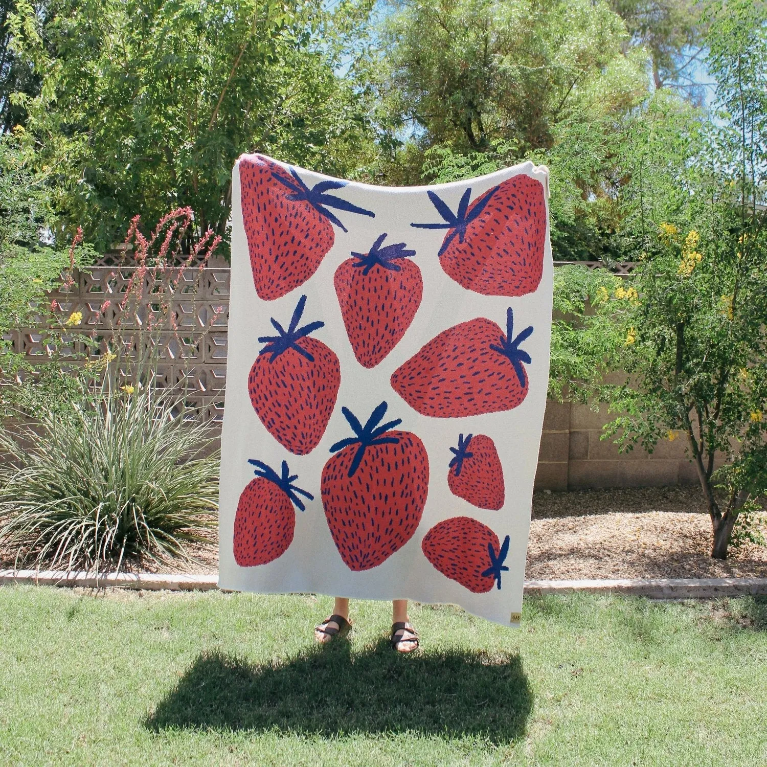 Gab Art Design Blankets - Strawberry