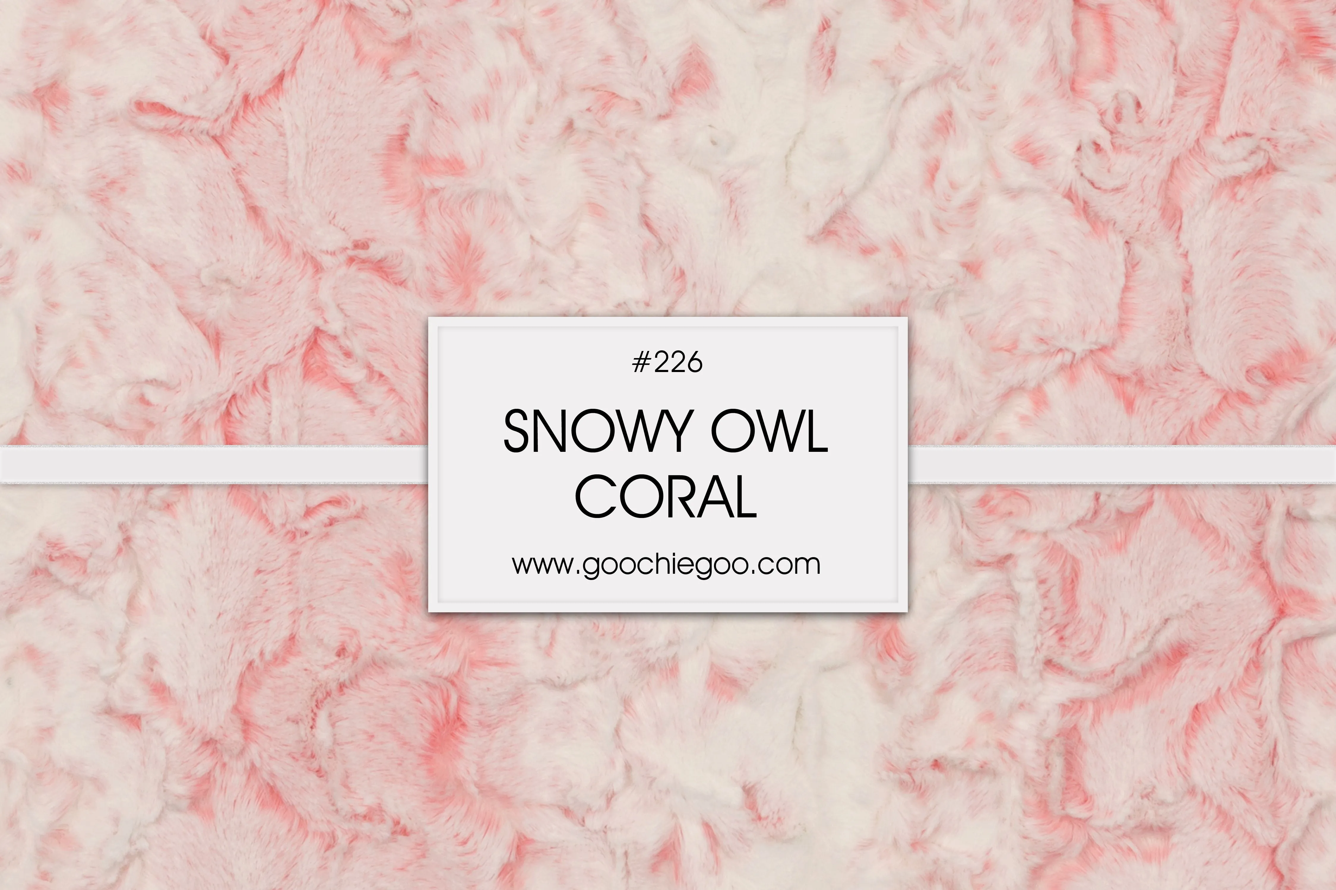 Snowy Owl / Coral