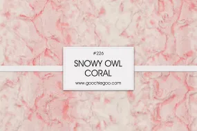 Snowy Owl / Coral