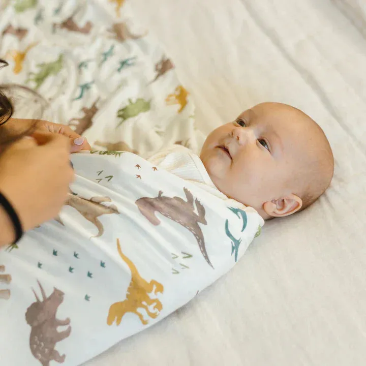 Stretch Knit Swaddle, Dino Pals