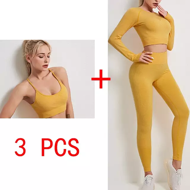 Women Seamless Yoga gym fitness workout set