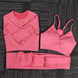 Women Seamless yoga set Fitness Sports Suits GYM Cloth